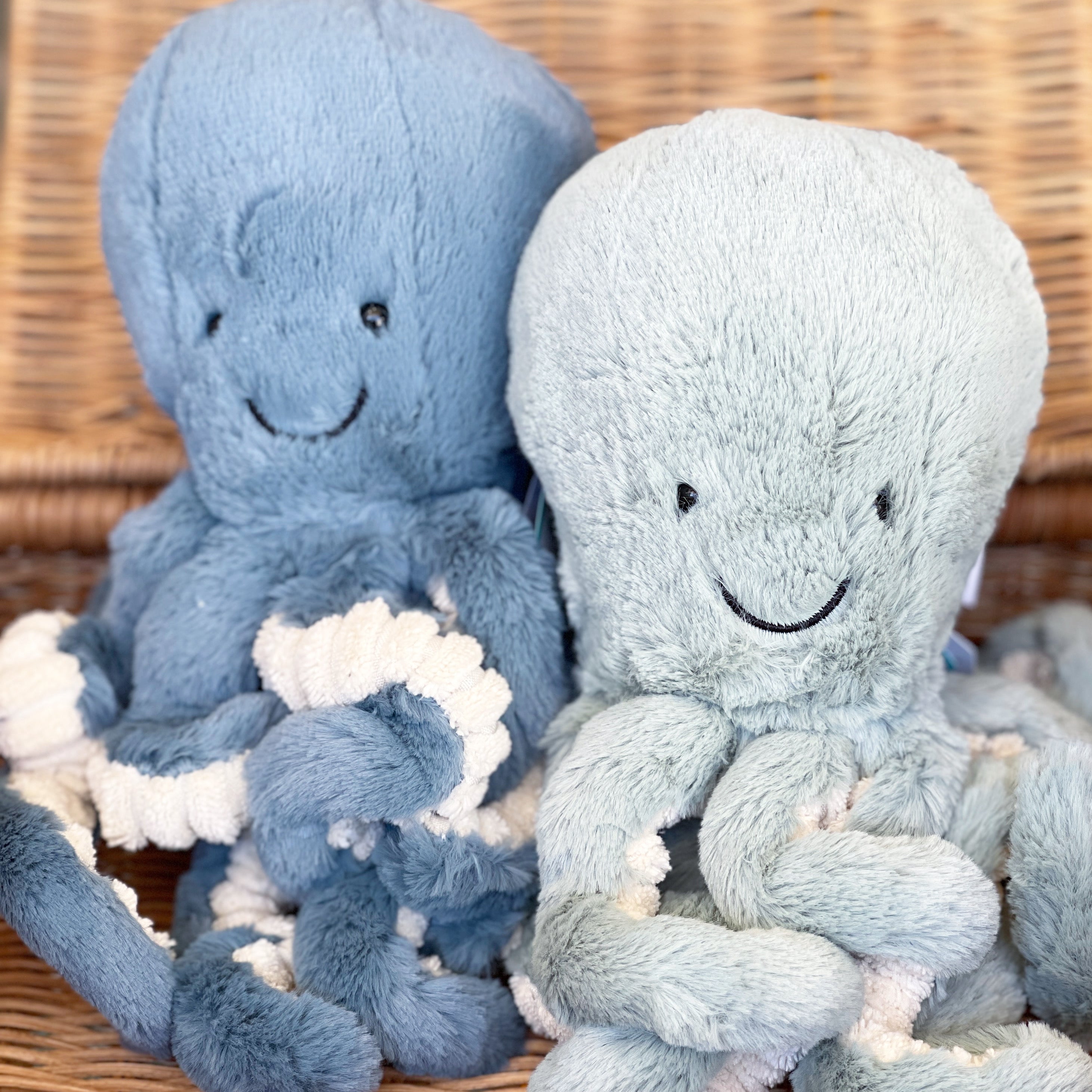 Jellycat Ocean Daisy and Hen