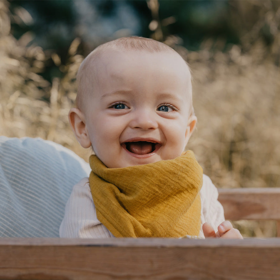 Baby Bibs Daisy and Hen
