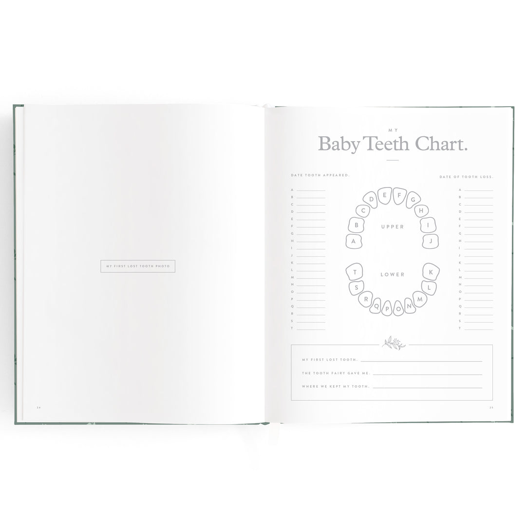 Fox & Fallow Baby Book - Pine (Boxed)