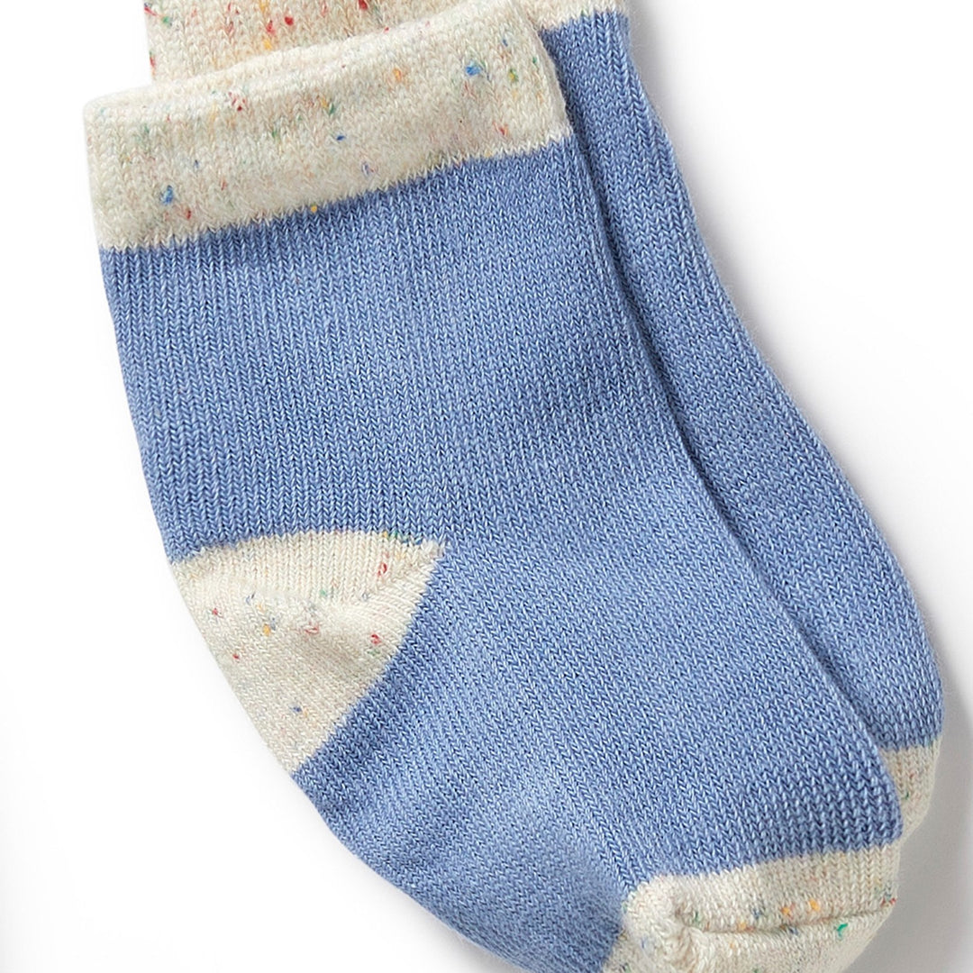 Wilson and Frenchy Organic 3 Pack Baby Socks - Endive, Bluebell, Blue