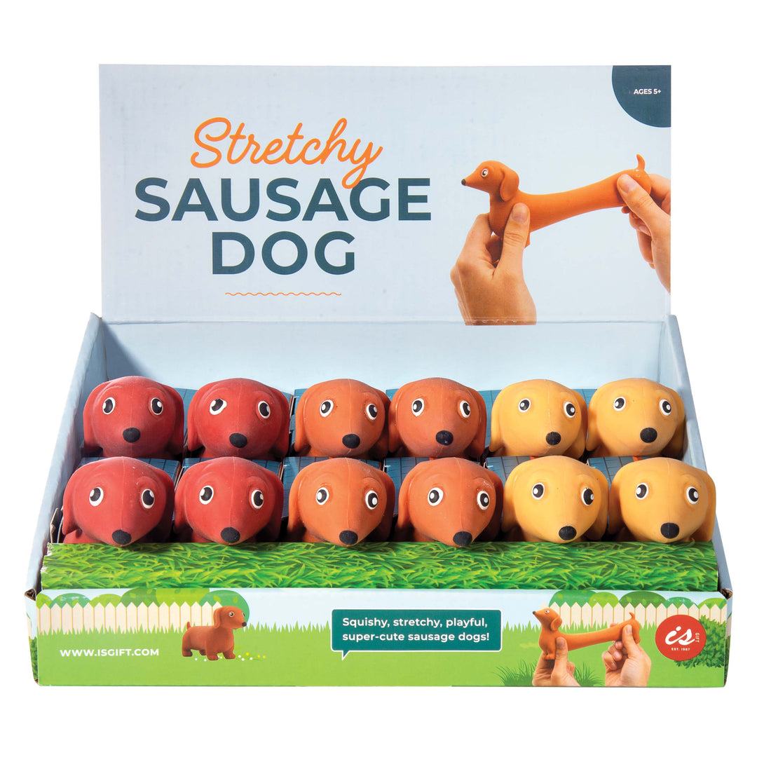 Stretchy Sausage Dog - Assorted