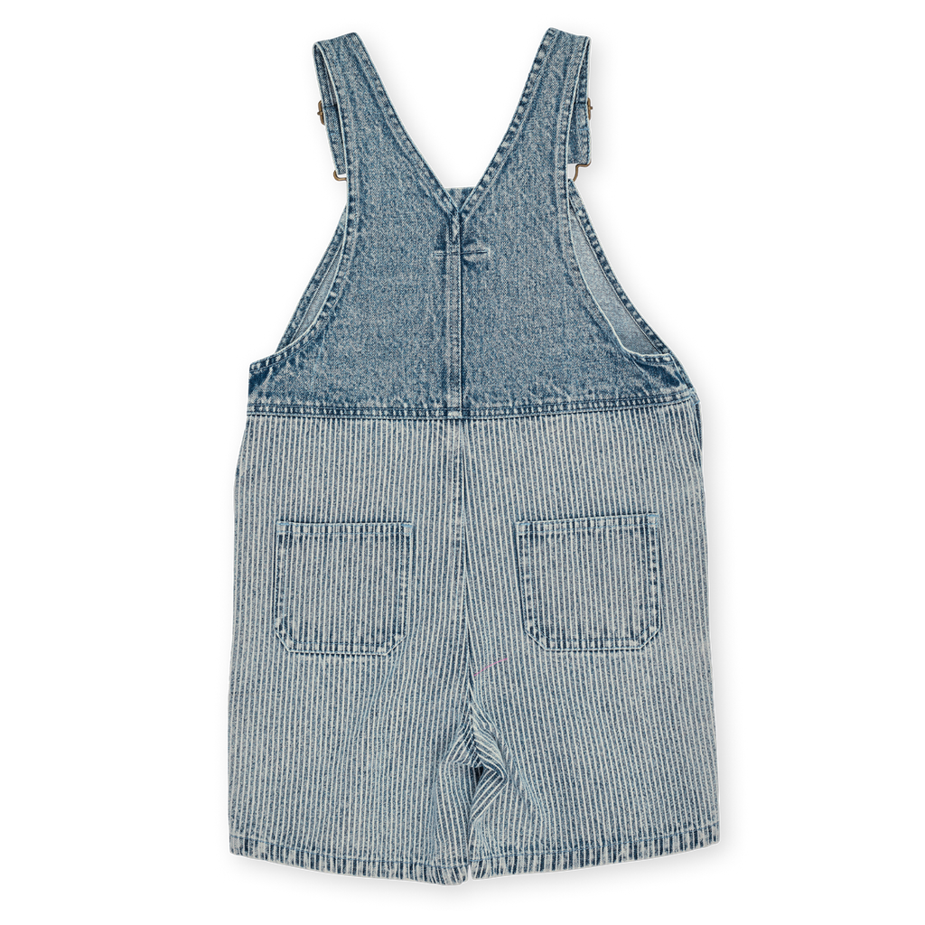 Denim Railroad Burton Overalls