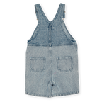Denim Railroad Burton Overalls
