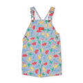 Dino Print Burton Overall