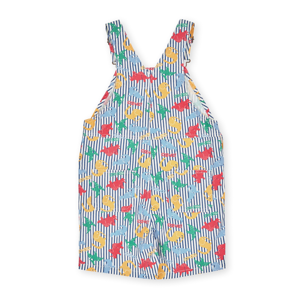 Dino Print Burton Overall