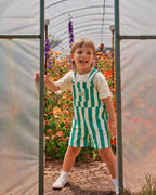 Happy Stripe Button Burton Overalls