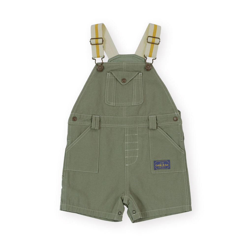 Carpenter Utility Burton Overalls