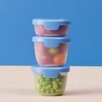Snack Tubs - Ocean