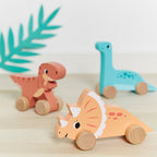 Dino Push-Alongs - Assorted