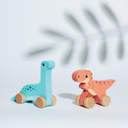 Dino Push-Alongs - Assorted