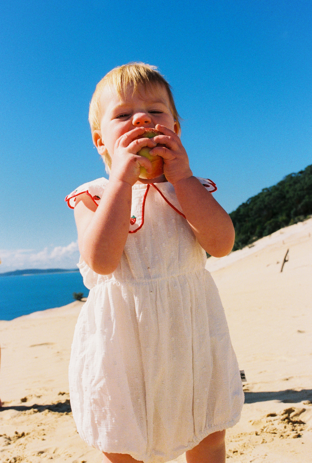 Scallop Collar Strawberry Romper