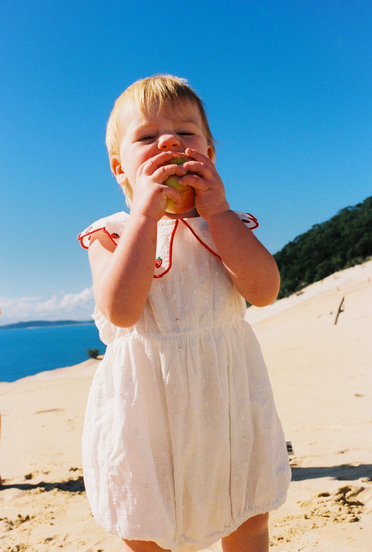 Scallop Collar Strawberry Romper