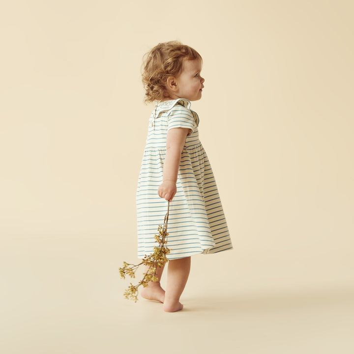 Wilson and Frenchy Petit Sage Organic Ruffle Dress