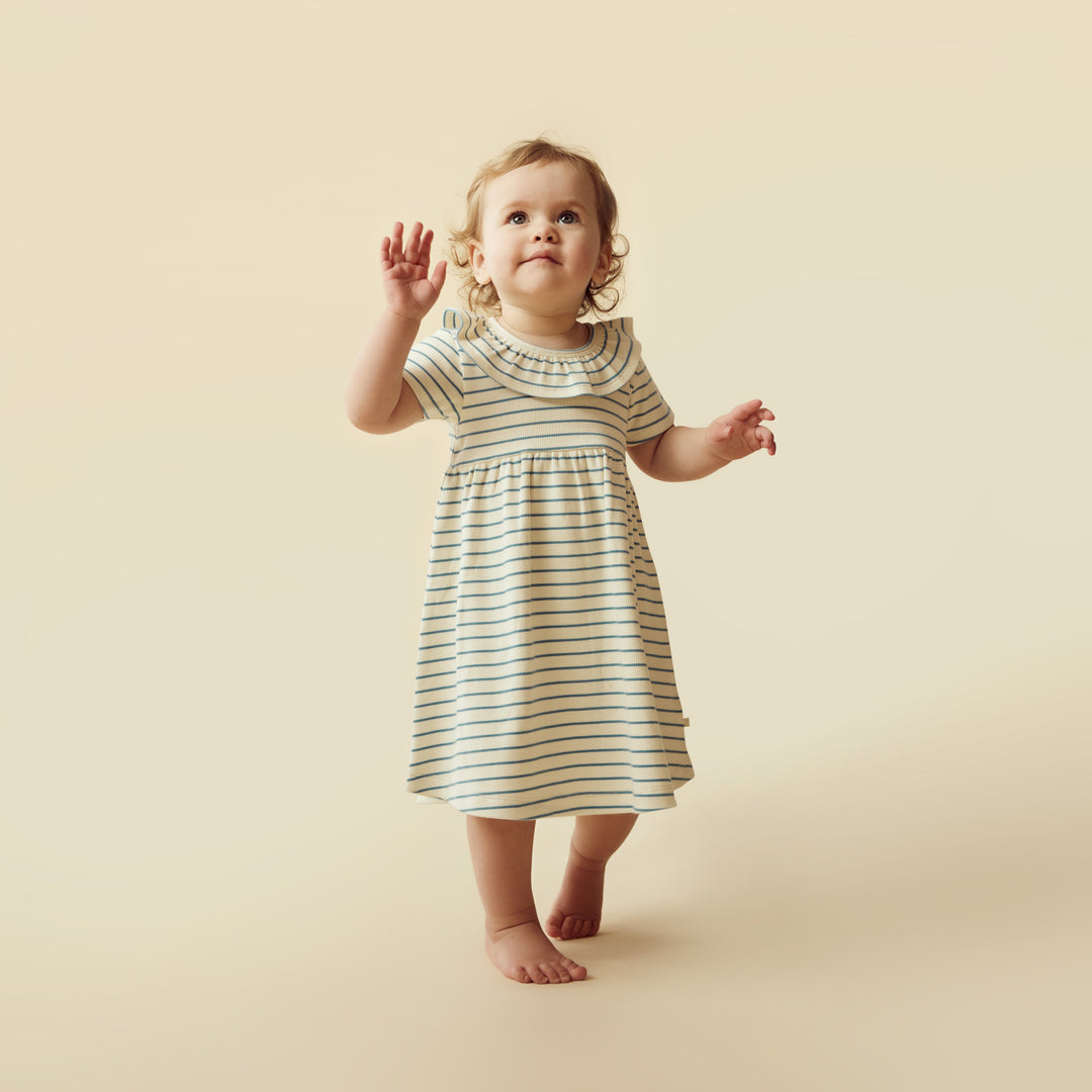 Wilson and Frenchy Petit Sage Organic Ruffle Dress