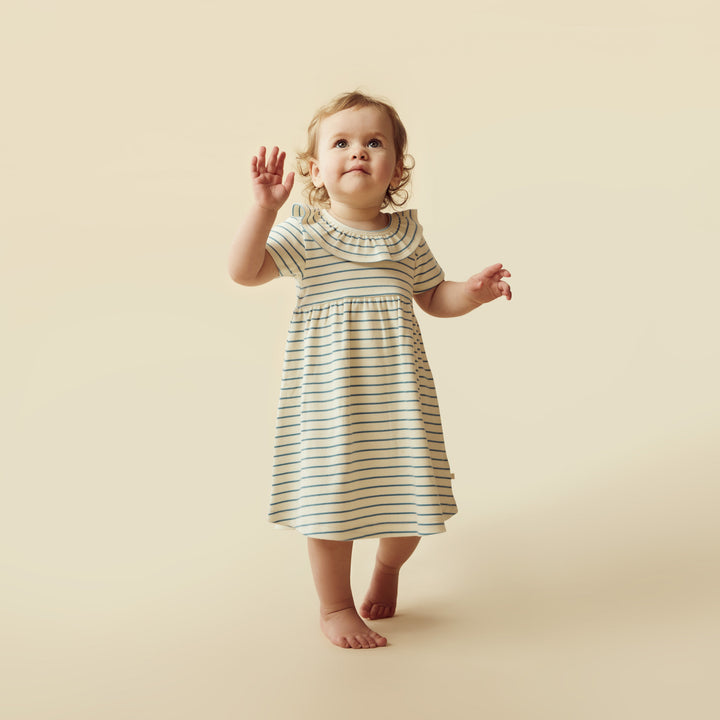 Wilson and Frenchy Petit Sage Organic Ruffle Dress