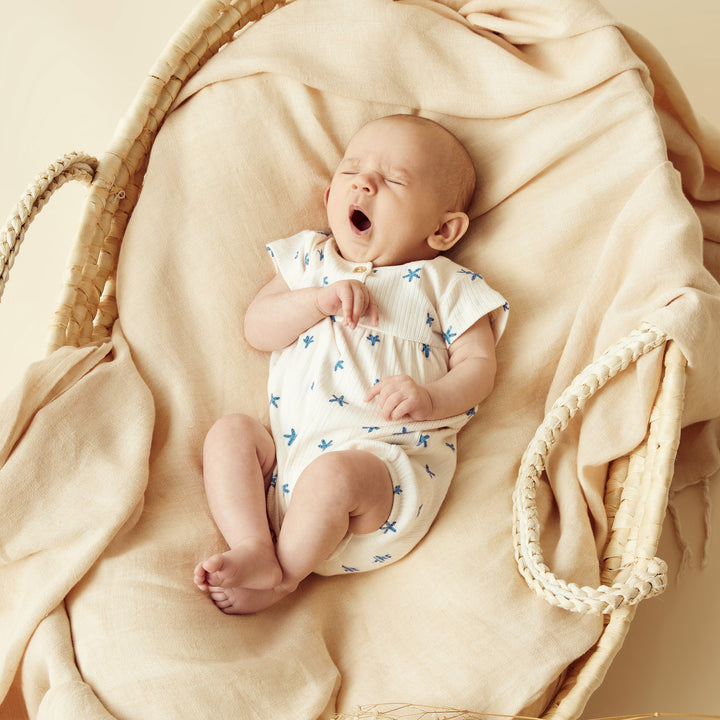Wilson and Frenchy Little Starfish Organic Rib Playsuit