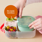 Lunch Tub - Forest