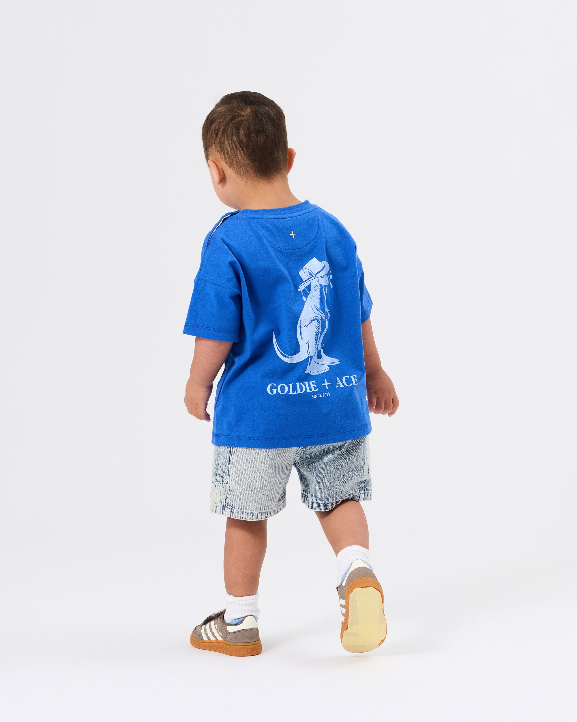 Pin Stripe Noah Pocket Shorts