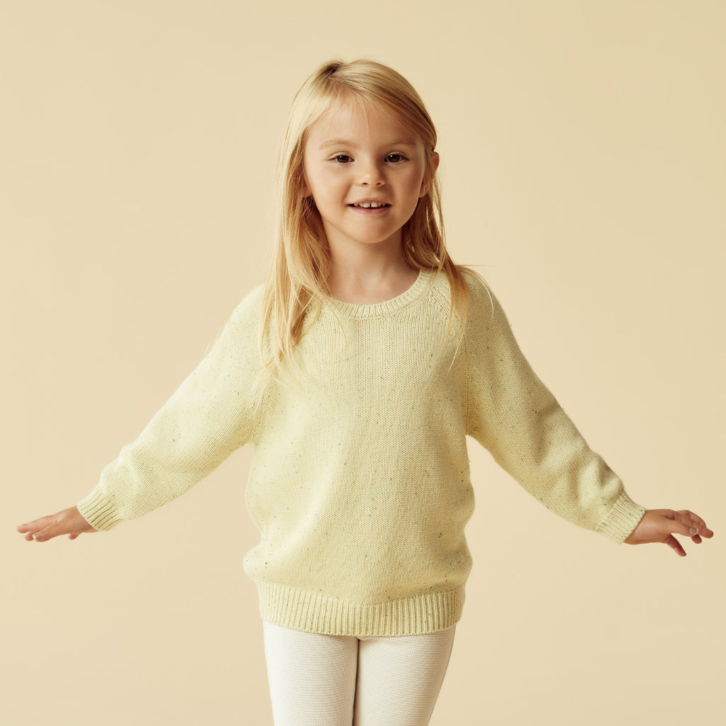Wilson and Frenchy Knitted Jumper - Cactus Fleck