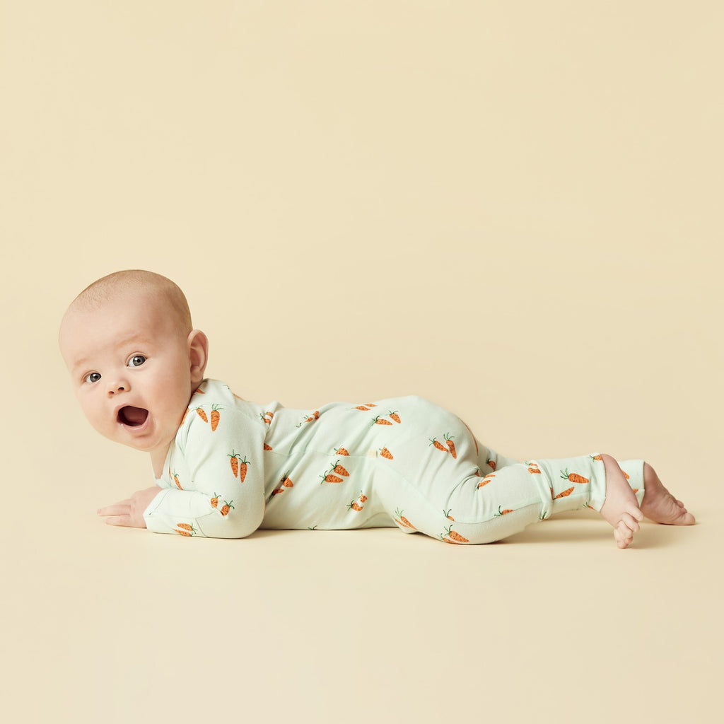 Organic Zipsuit With Feet - Cute Carrots