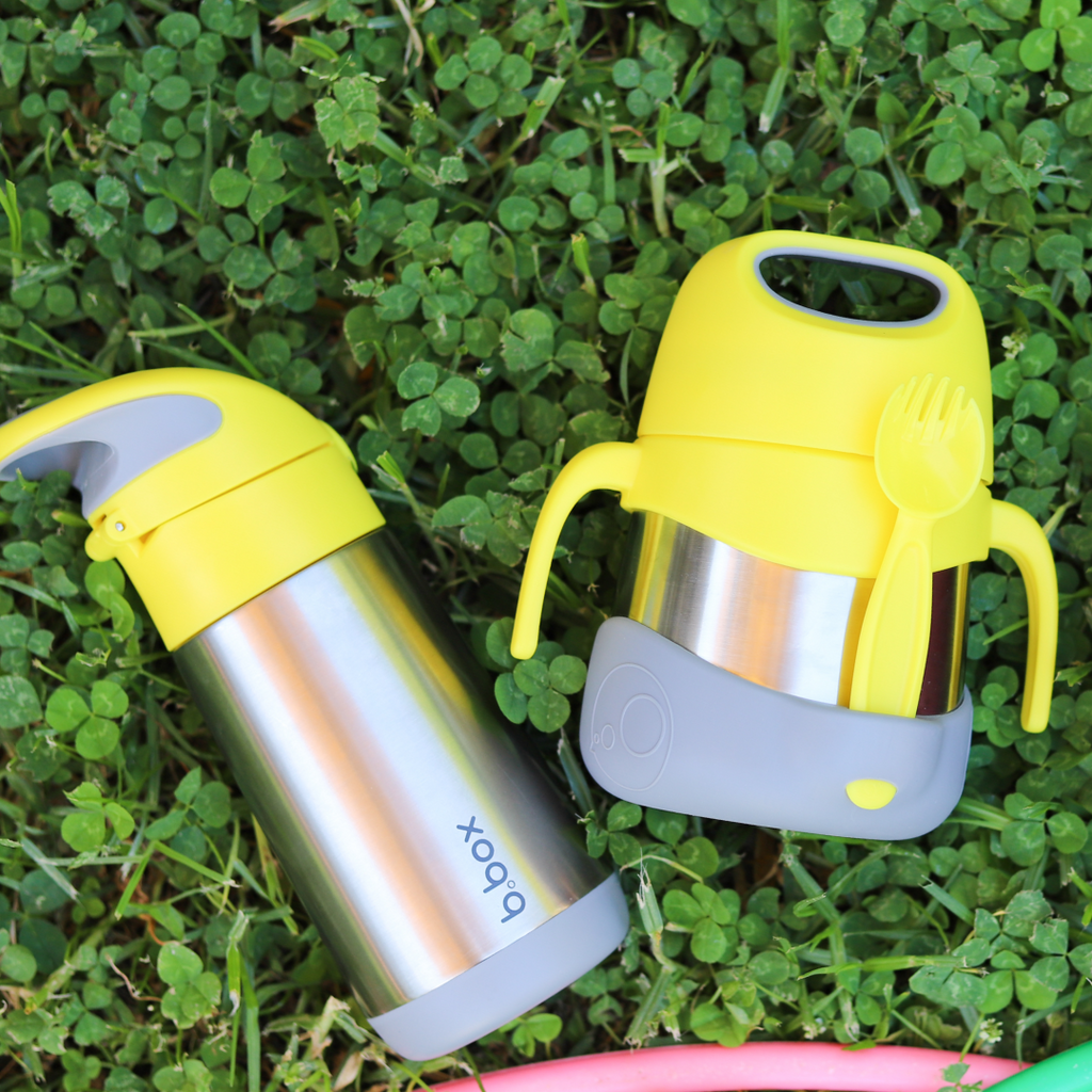 Insulated Food Jar - Lemon Sherbert