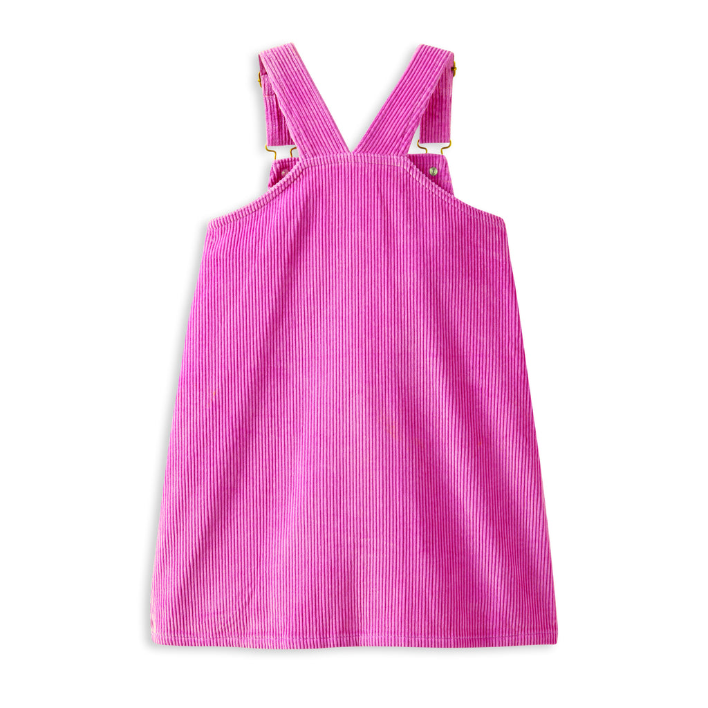 Pinny Pop Dress