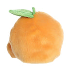 Tangie Orange