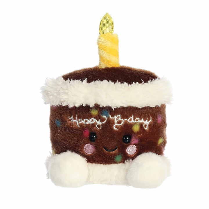 Palm Pal - Choc B'day Cake