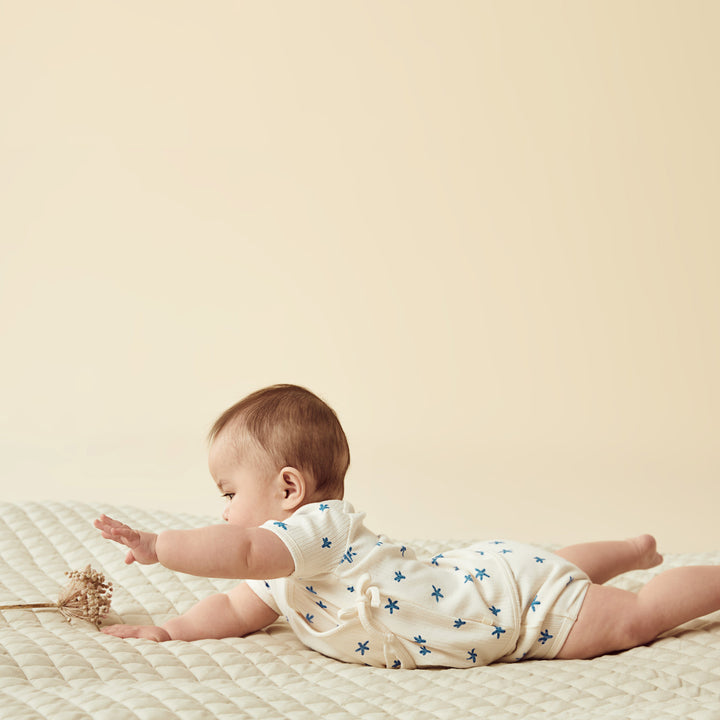 Wilson and Frenchy Little Starfish Organic Rib Nappy Pant