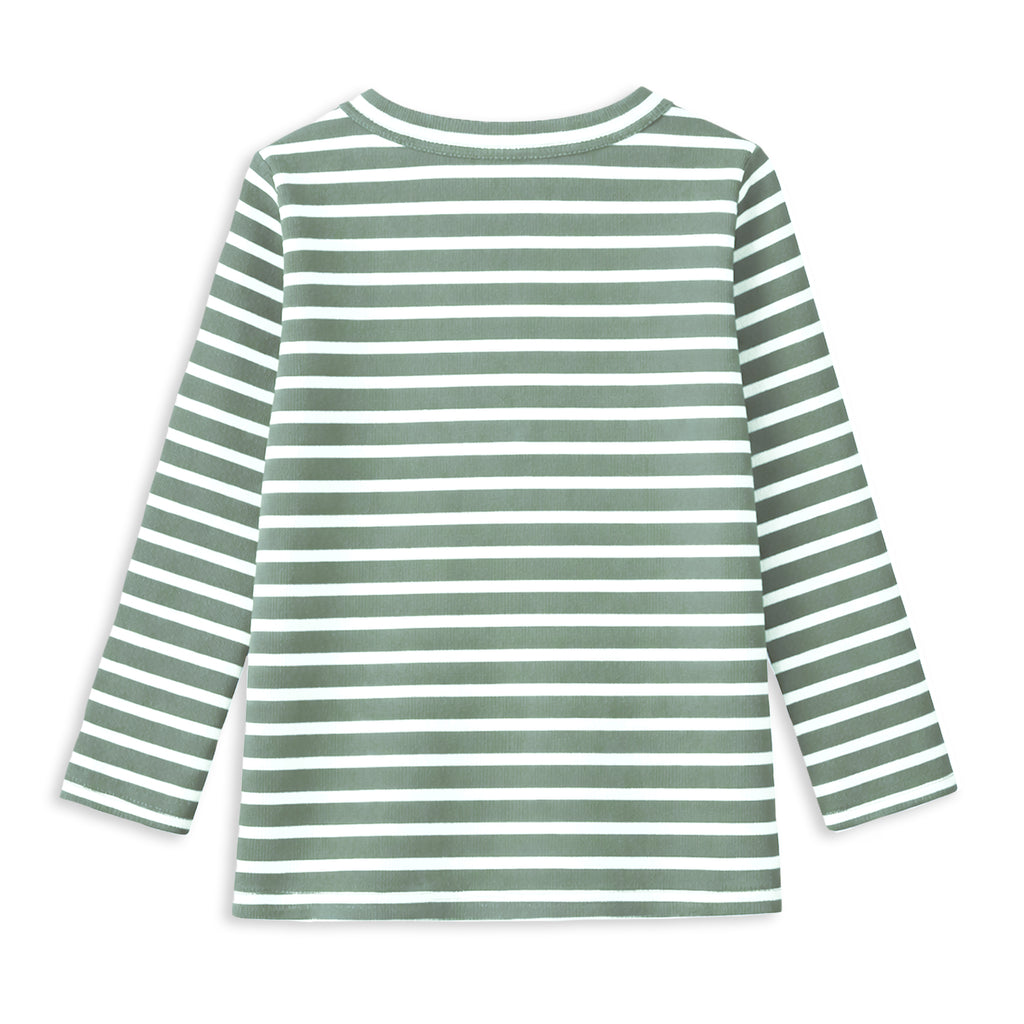 Fern Stripe Henley