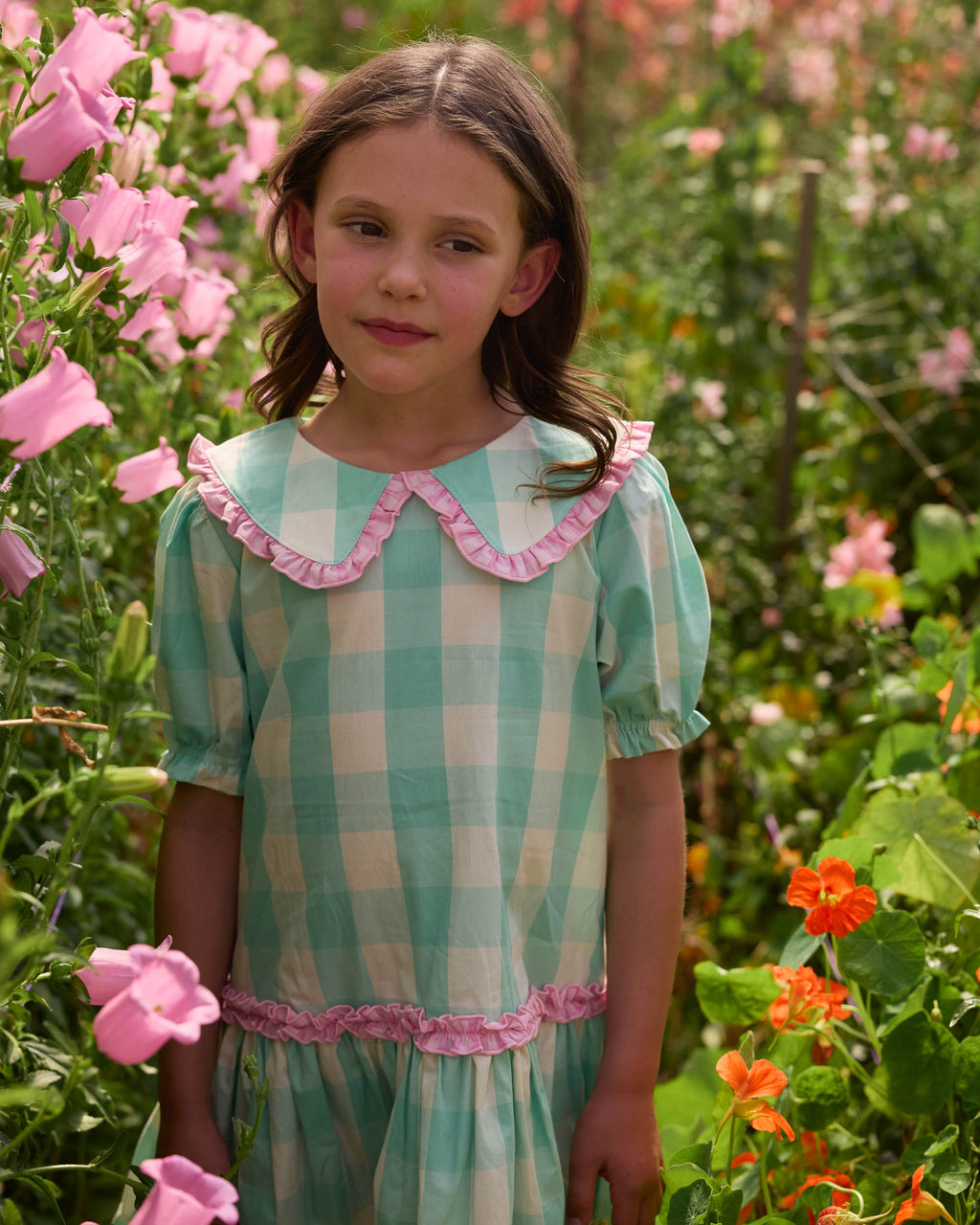 Gingham Collar Dress