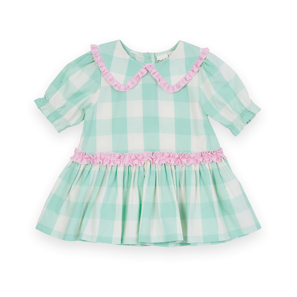 Gingham Collar Dress