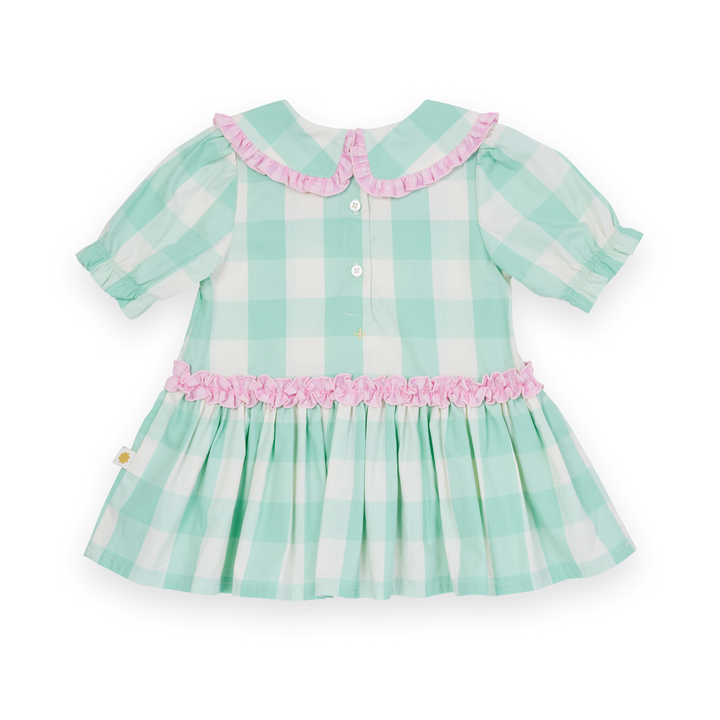 Gingham Collar Dress