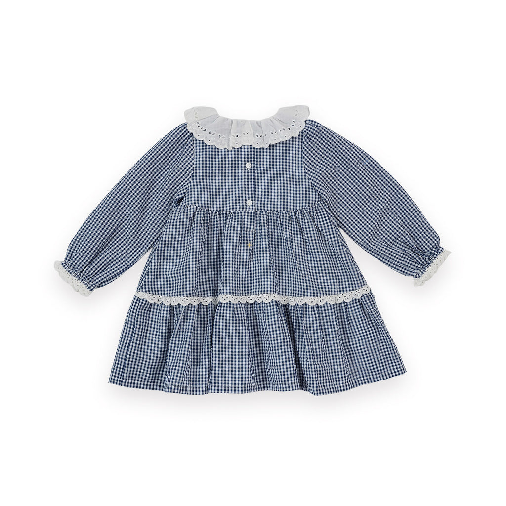 Gingham Collared Dress