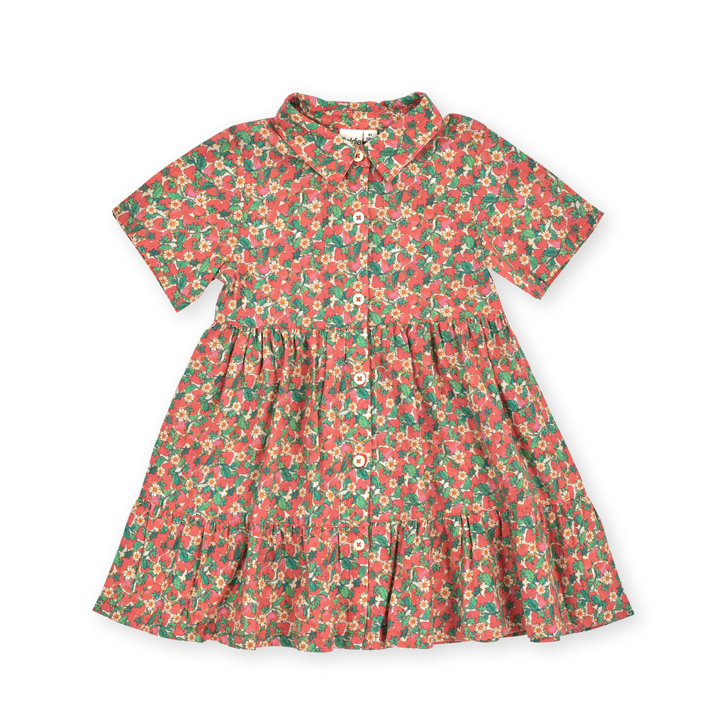 Strawberry Monica Dress