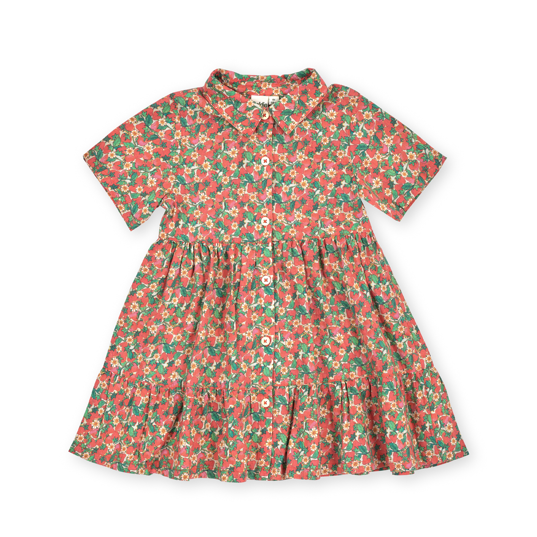 Strawberry Monica Dress