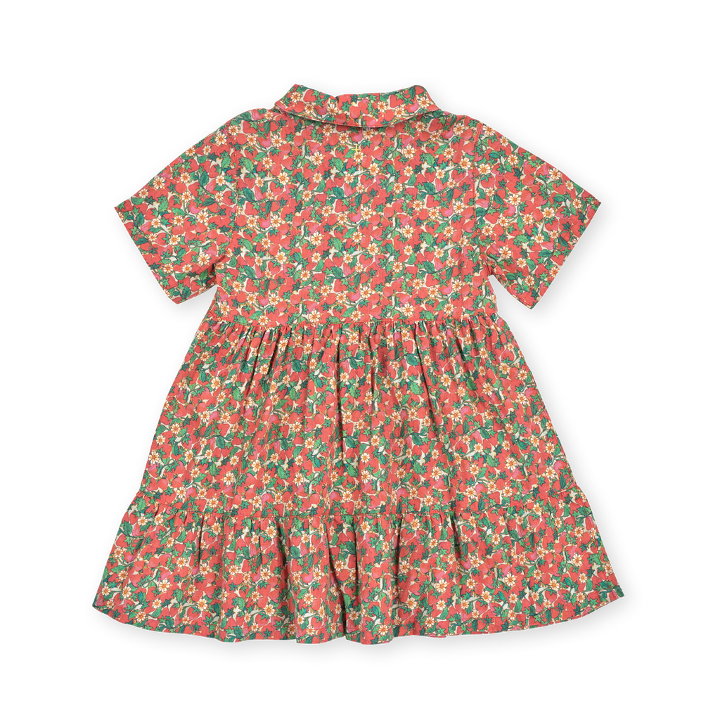 Strawberry Monica Dress