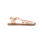 Adults Shark - Rose Gold