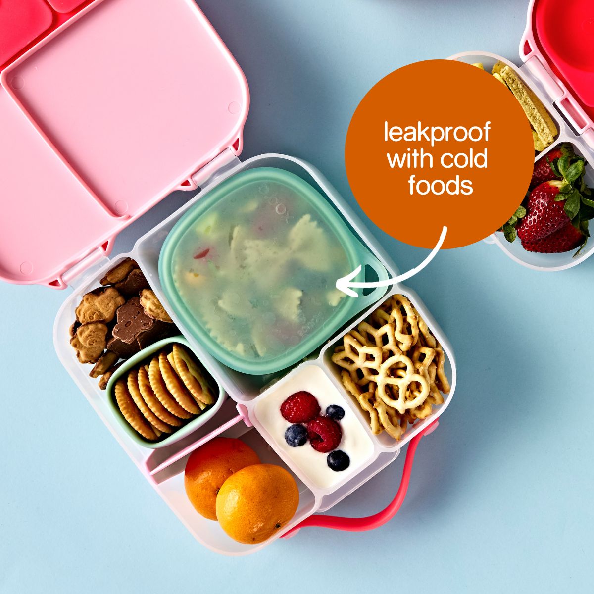 Lunch Tub - Forest
