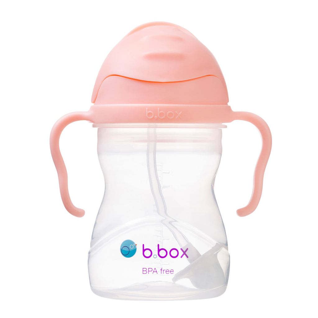 Gelato Sippy Cup - Tutti Frutti