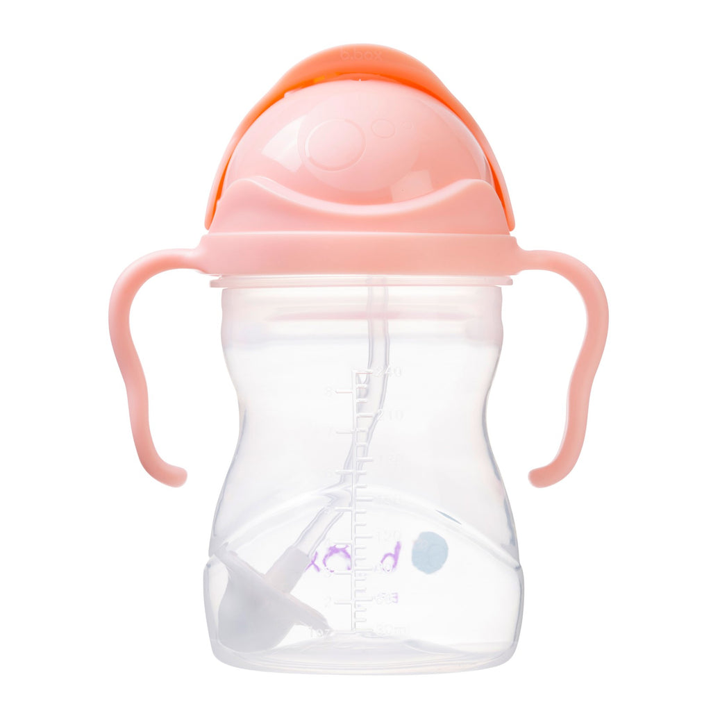 Gelato Sippy Cup - Tutti Frutti
