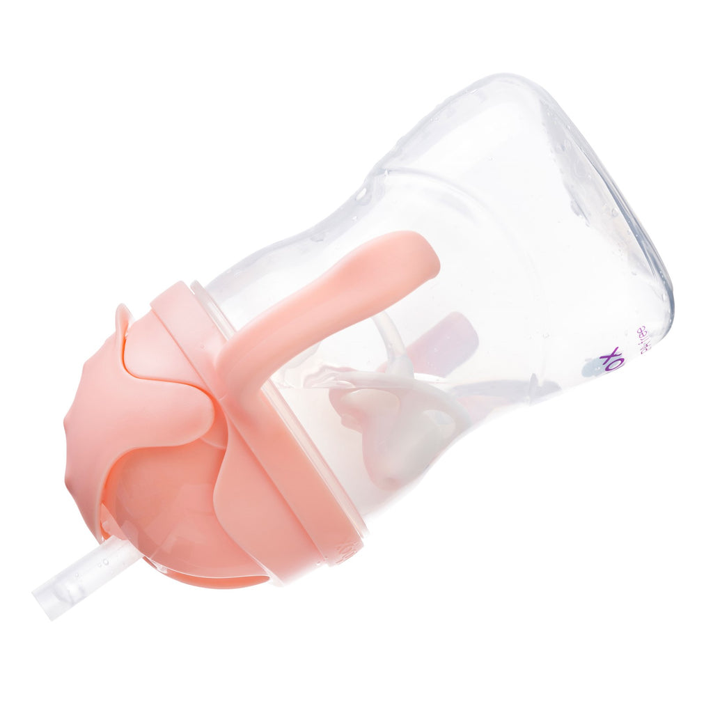 Gelato Sippy Cup - Tutti Frutti