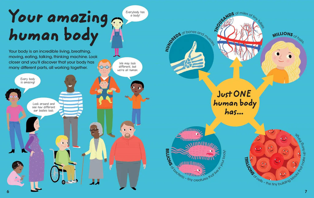 Factivity Volume 2 - 128pg Reference - Human Body