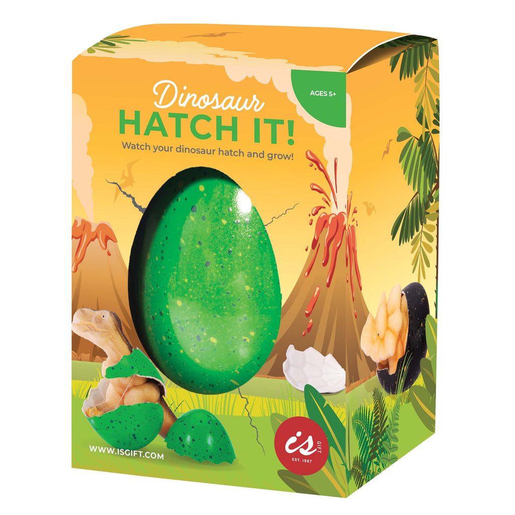 Hatch It - Dinosaur Large