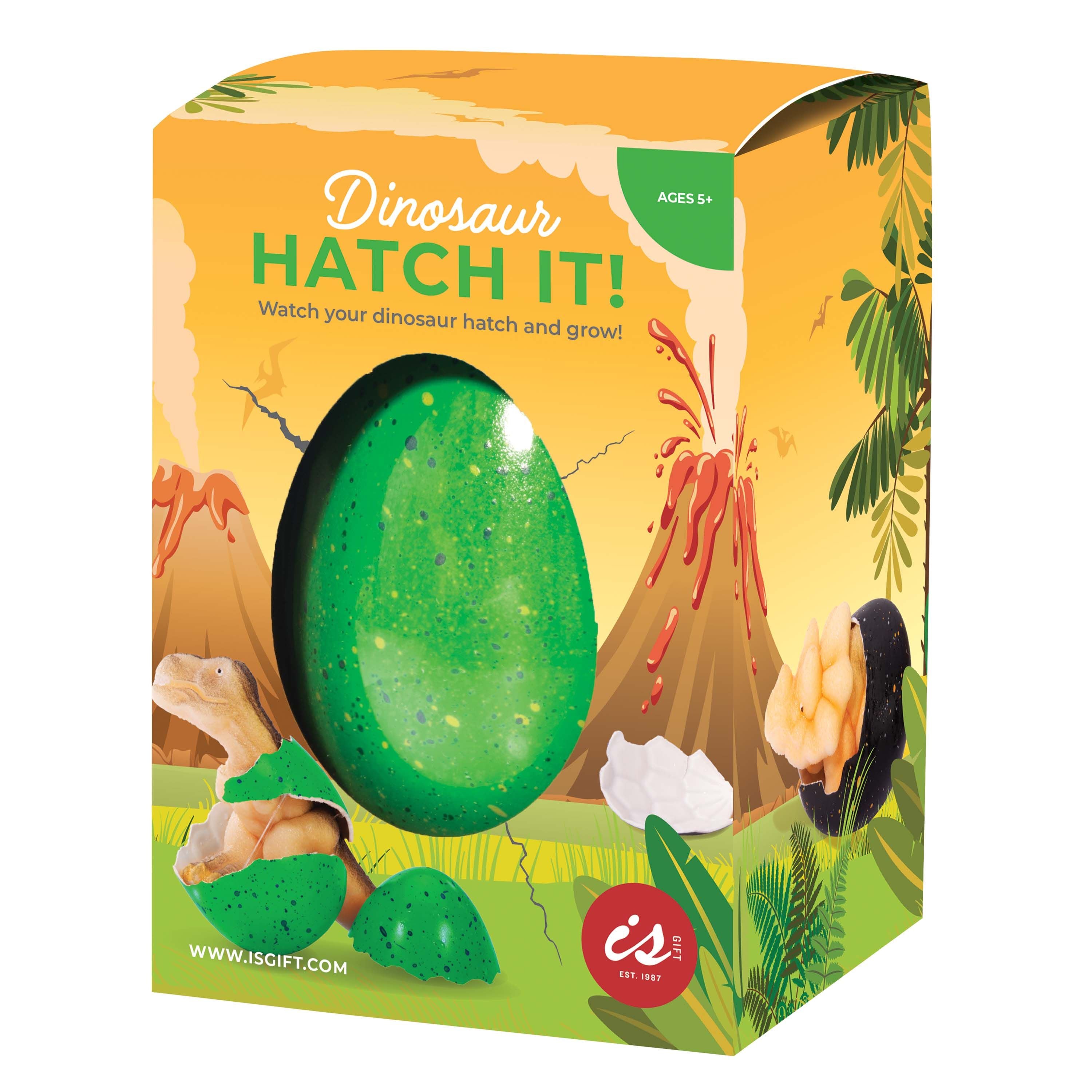 Hatch It - Dinosaur Large