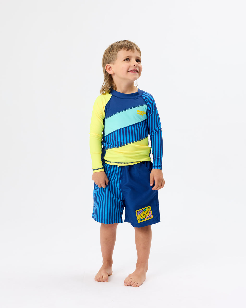 Stripe Panel Board Shorts