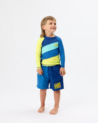 Stripe Panel Board Shorts