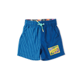 Stripe Panel Board Shorts