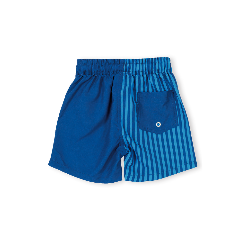 Stripe Panel Board Shorts