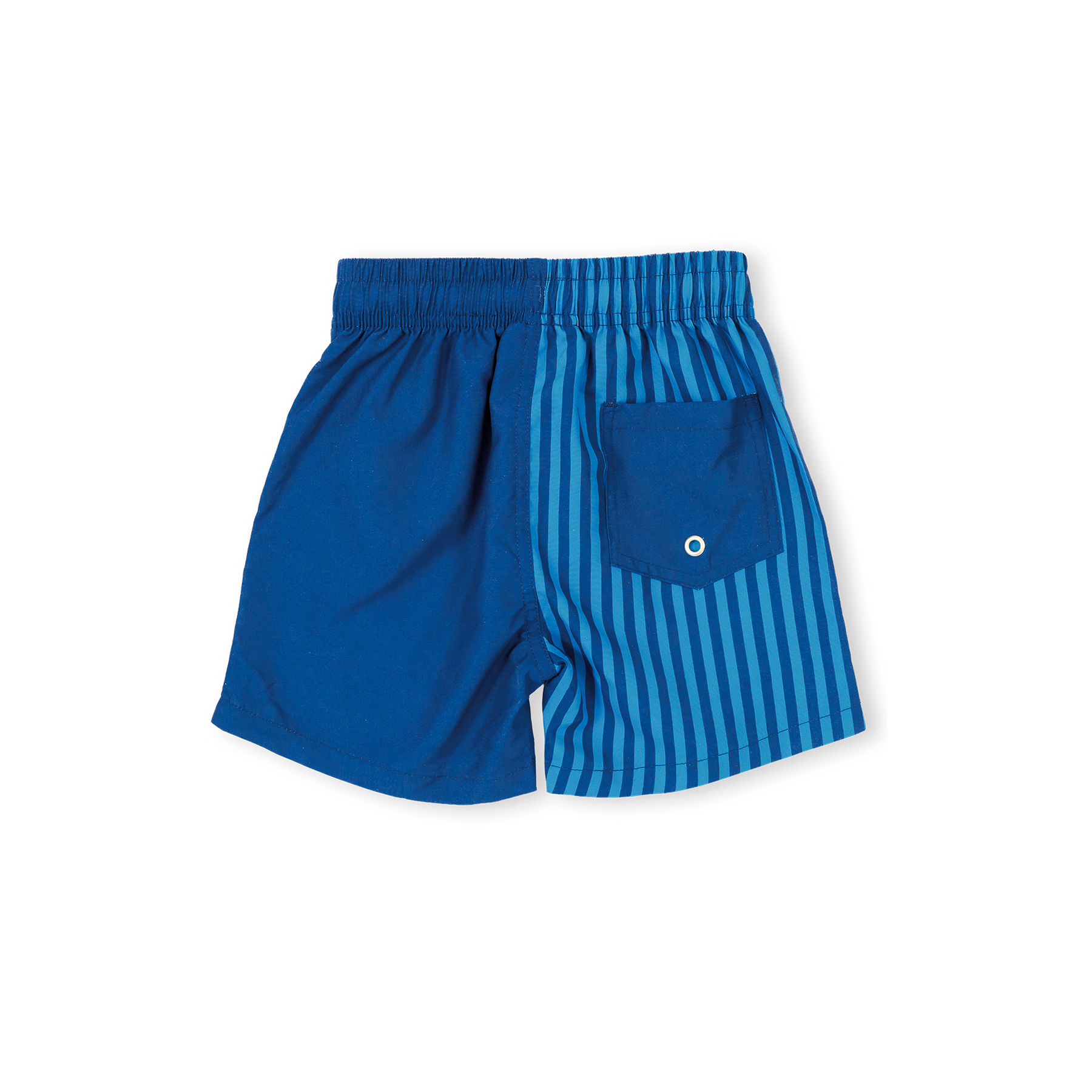 Stripe Panel Board Shorts